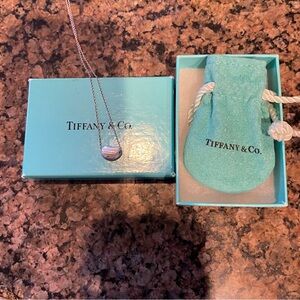 Tiffany & Co. Peretti Sterling Silver Mini Necklace